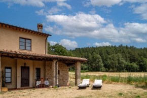 Melograno Poderone Grosseto
